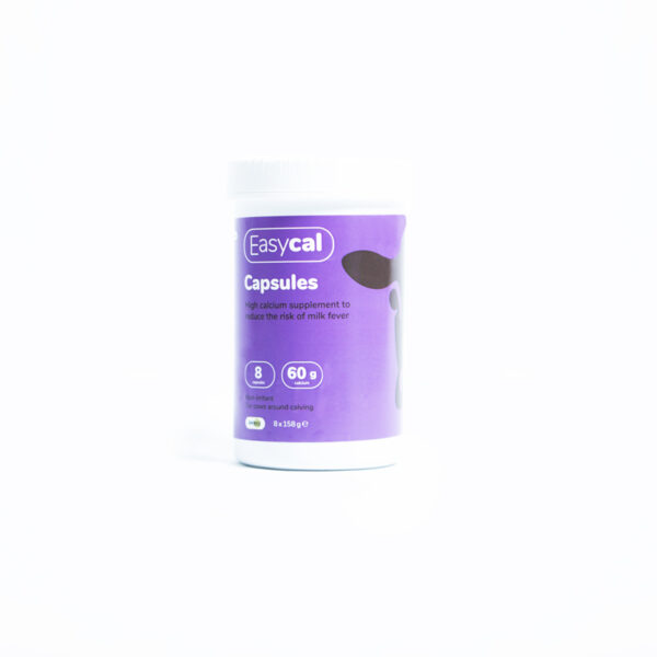 Easycal Capsules