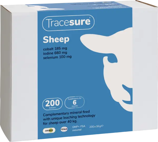 Tracesure Sheep (200 stk)